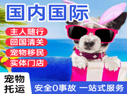 丹东浪头航空运输国际宠物托运 【国